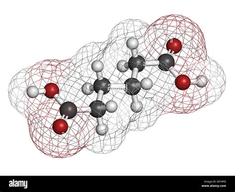 Adipic Acid: Exploring its Applications in Polymer Production and Nylon Manufacturing!