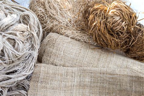 Hemp Fiber:  Exploring Sustainable Textile Production and High-Performance Fabric Applications!