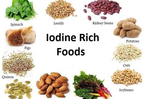  Iodine: An Essential Microelement for Animal Feed and Food Supplements